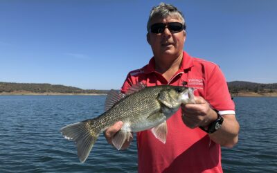 Fishing the ANSA Glenbawn Convention 2019