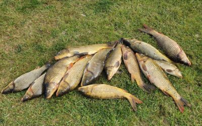 Improving your Carp Fishing Results